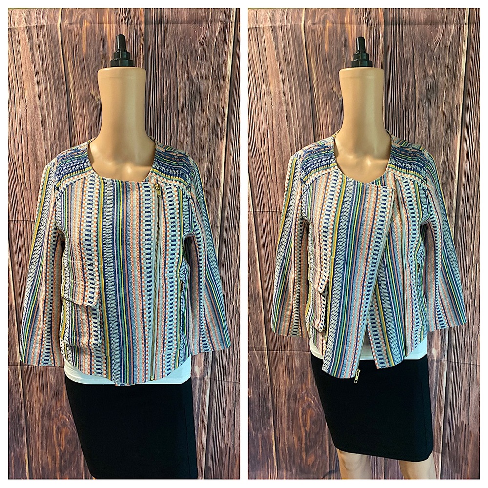 Twelfth Street by Cynthia Vincent size 4 multi colored tribal print suit